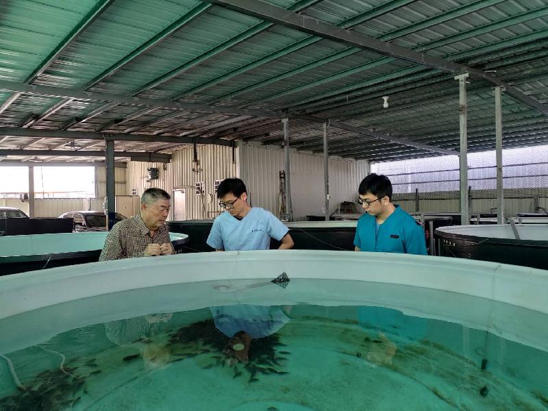 高市動物疾病檢驗成效卓越   精準監控守護產業與市民餐桌安全 