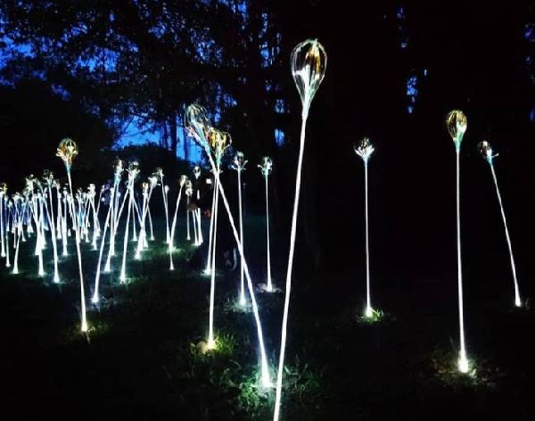 2022台灣燈會在「衛武營」，微光中的綠色之夢  人造植物未來式 漫步在森林間與植光．蕈菇深呼吸 / 台銘新聞網
