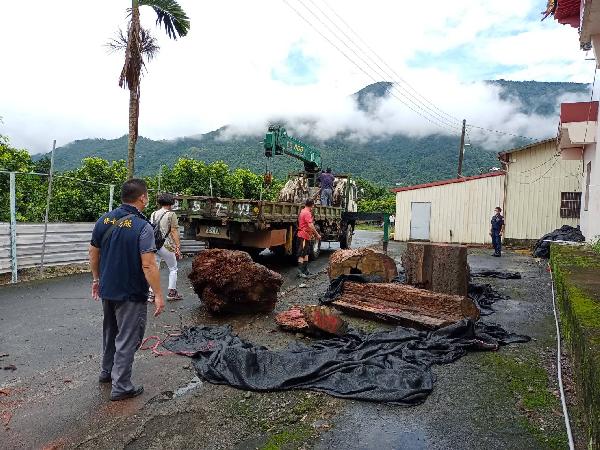 趁颱風大雨竊取貴重漂流木，遭保七警查獲 / 台銘新聞網