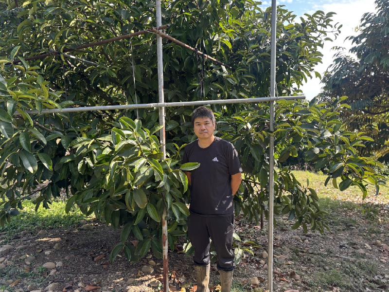 尖端農耕   大樹青農陳信宏   創熱帶多元果樹園區 