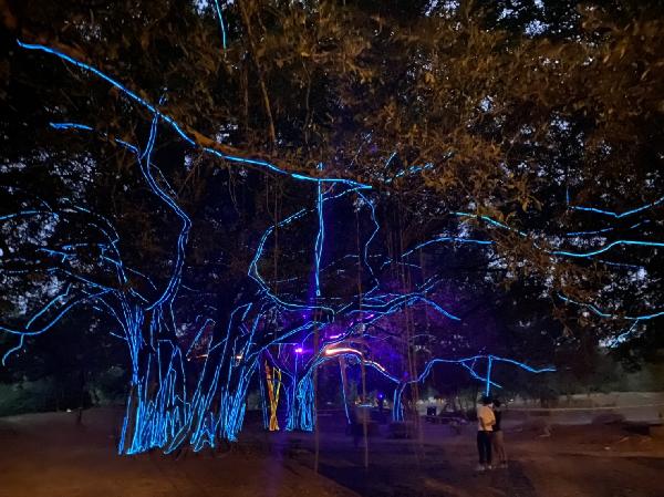 阿凡達場景現身衛武營 走進城市中的迷幻森林  台灣燈會首次創作 與自然共存的燈飾作品 / 台銘新聞網