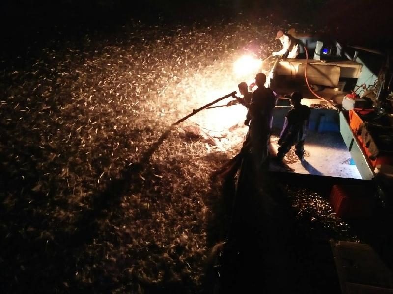 2022蹦火漁業開始起航，新北市攜手山富旅遊力推全新體驗！ / 台銘新聞網