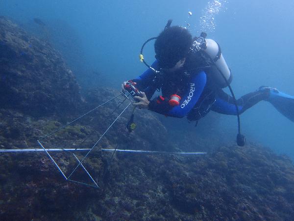  海保署公佈2020年臺灣珊瑚監測調查成果  海洋資源需要你我共同守護/ 台銘新聞網