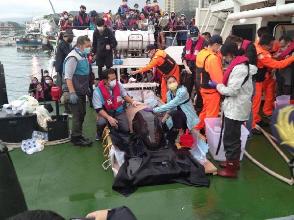  各單位通力合作，宜蘭蘇澳海灘擱淺偽虎鯨25日  順利返回大海/ 台銘新聞網