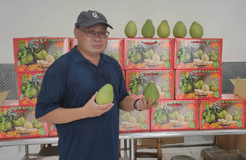貿易商助柚農度難關  對折內銷讓國人嚐「甜頭」 / 台銘新聞網