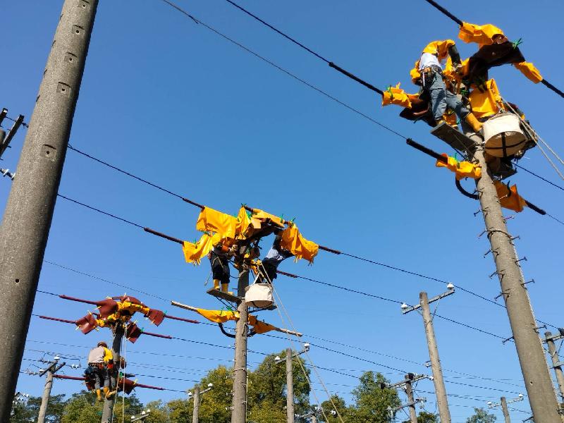 2026 台電技能競賽千人大比拚  首辦「冠中之冠」示範賽 