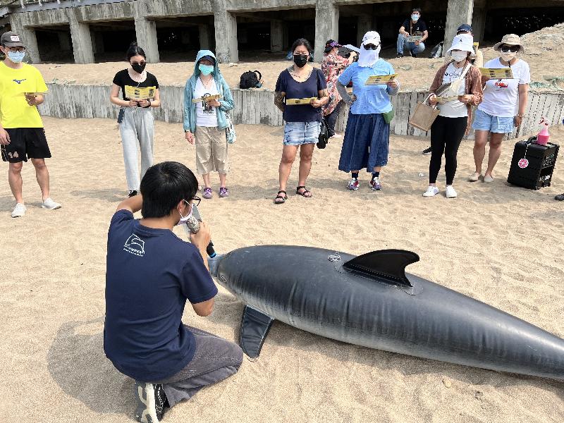 送鯨豚回家！世界海洋日首場救援課程開跑 / 台銘新聞網