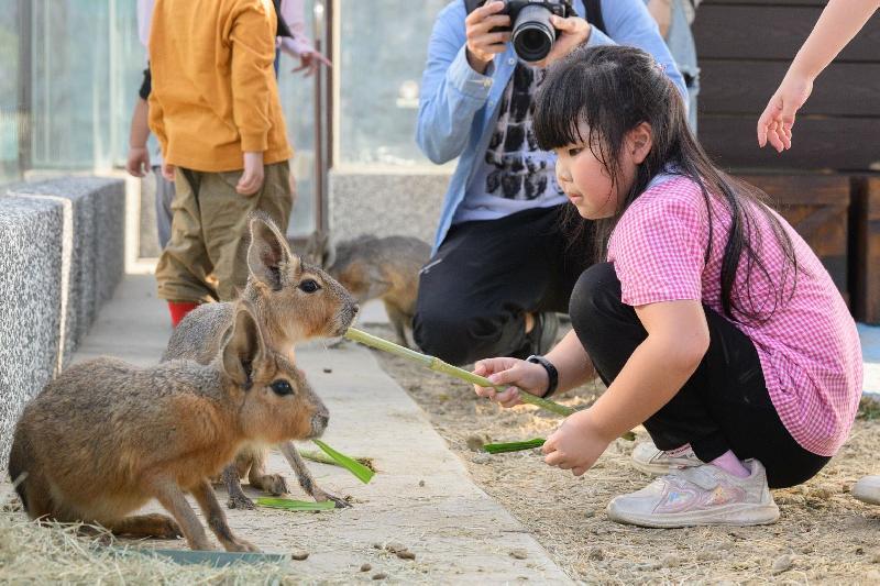 高雄東高新地標  內門「野森動物學校」觀光休閒園區明年1月試營運 