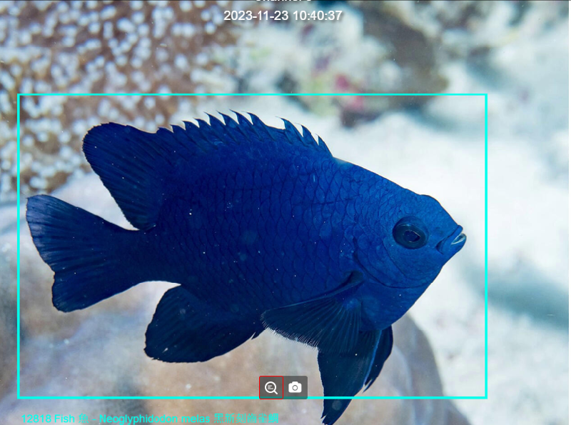 海委會發展海洋生物AI自動辨識  提升監測效能 / 台銘新聞網