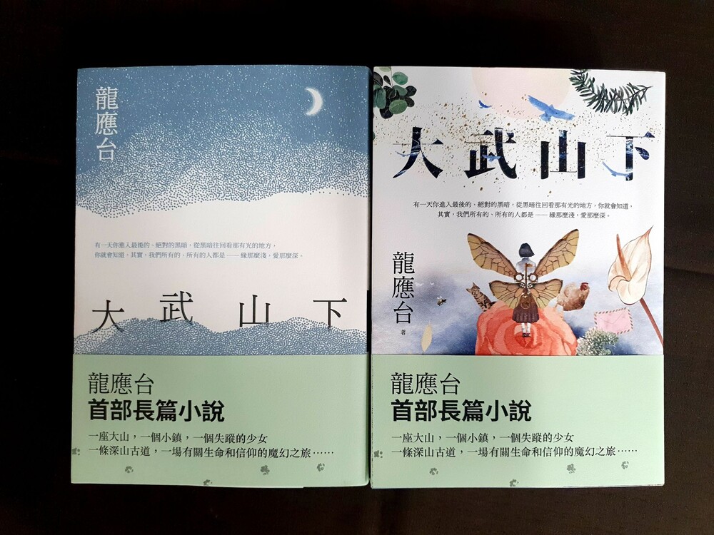 首部長篇小說 作家龍應台與讀者分享《大武山下》/台銘新聞網