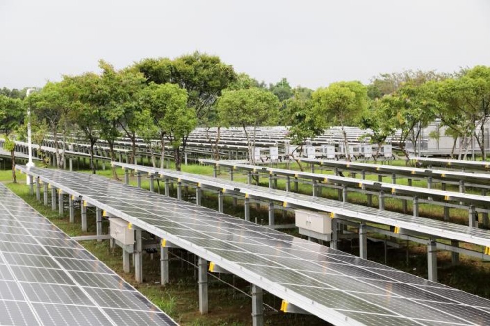 全台首座樹電共生引領台南邁向指標性綠能城市/台銘新聞網