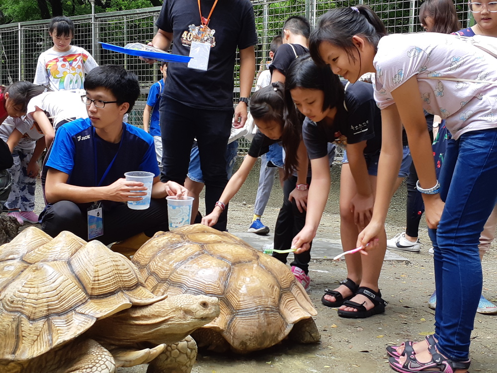 壽山動物園暑假全新玩法  首推宿營 攀樹 餵食新體驗/台銘新聞網