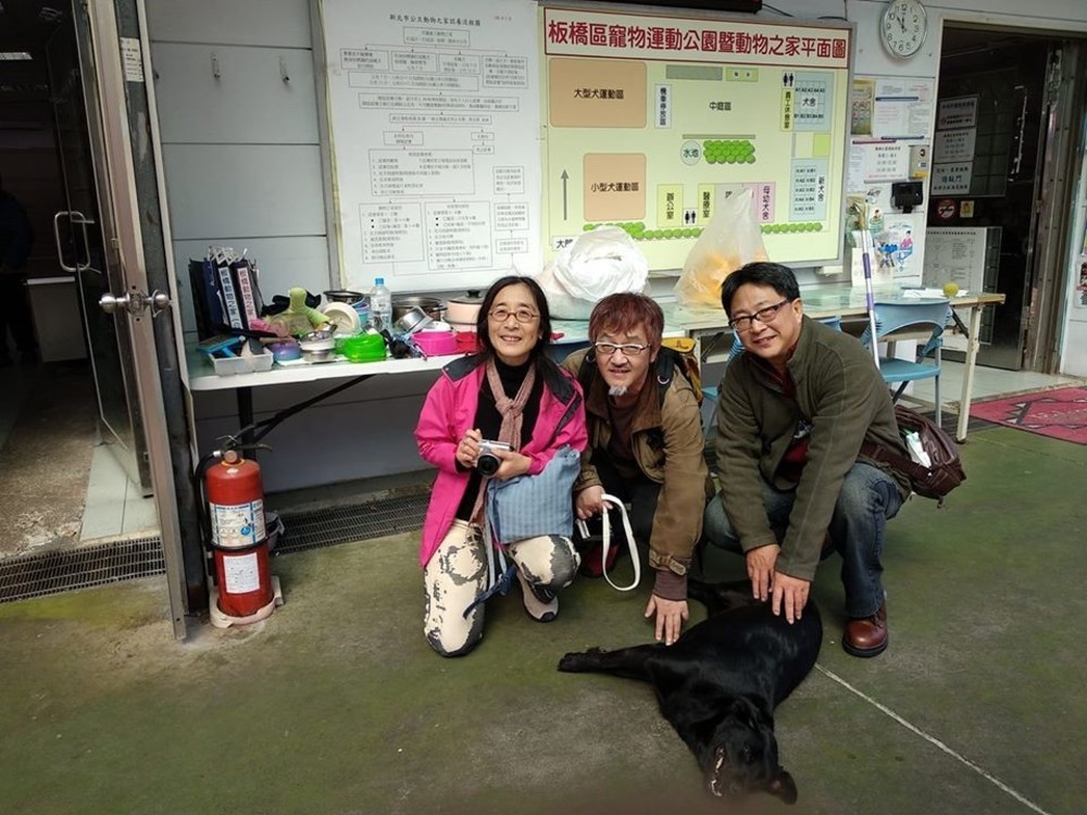 日本愛貓女作家偕夫參觀新北動物之家  豎起拇指驚嘆不已/台銘新聞網