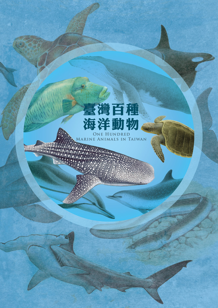 認識海洋生物的入門檻   眾所期待的「臺灣百種海洋動物」圖鑑誕生了/台銘新聞網
